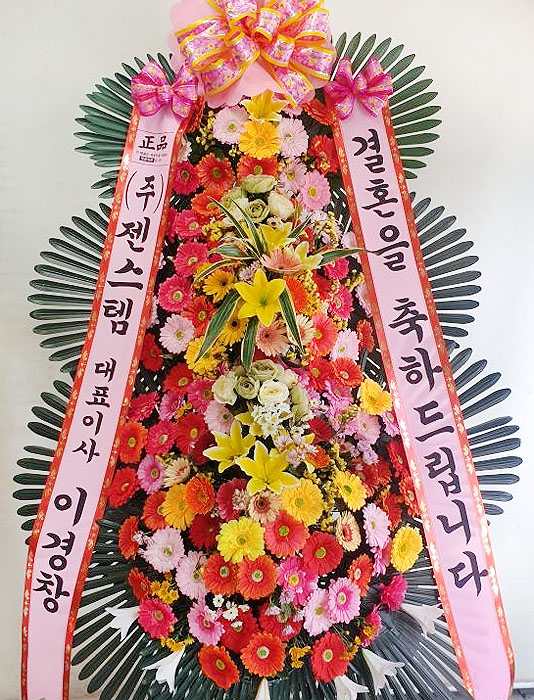 ST-FA248