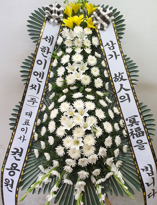 ST-FB226