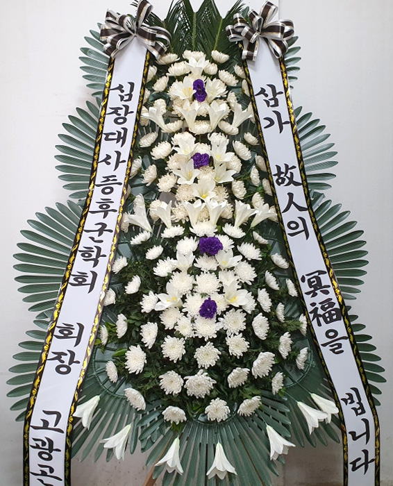 ST-FB227
