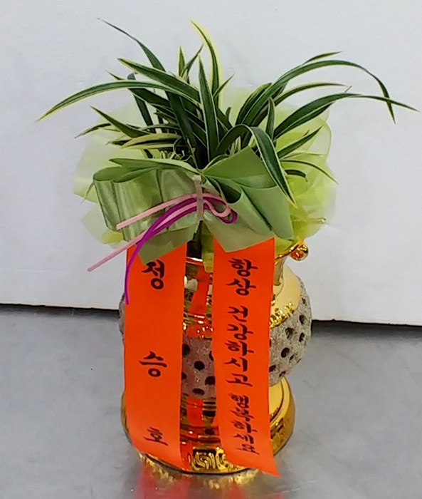 ST-E510