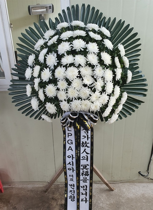 ST-FB226