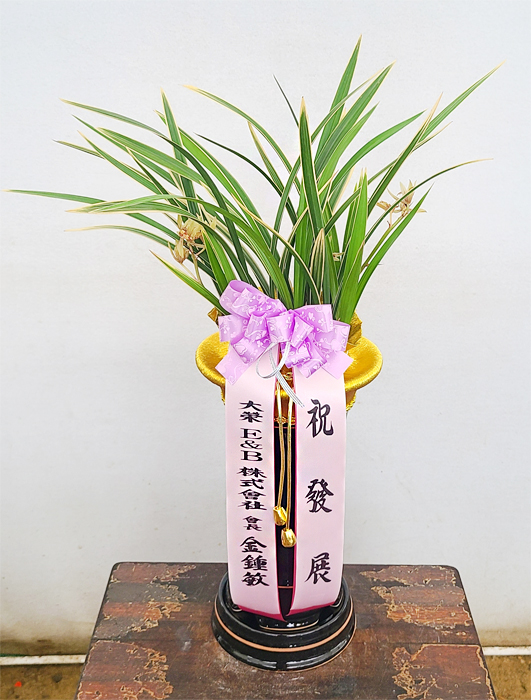 ST-E467