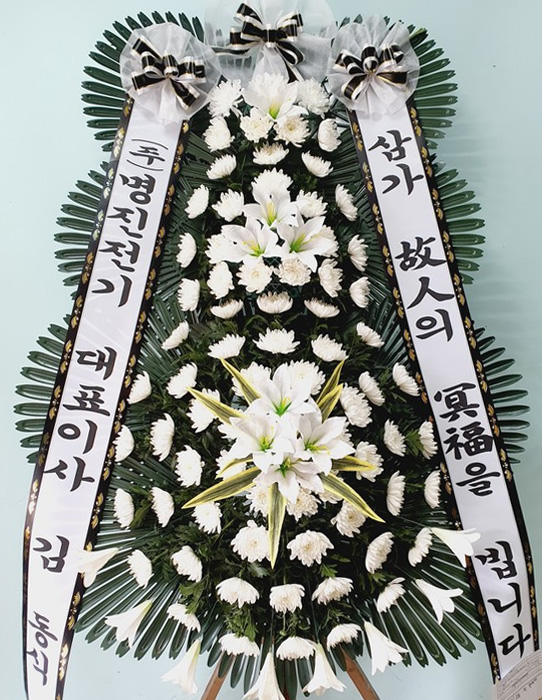 ST-FB233