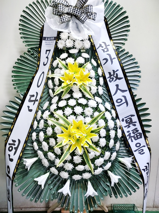 ST-FB226