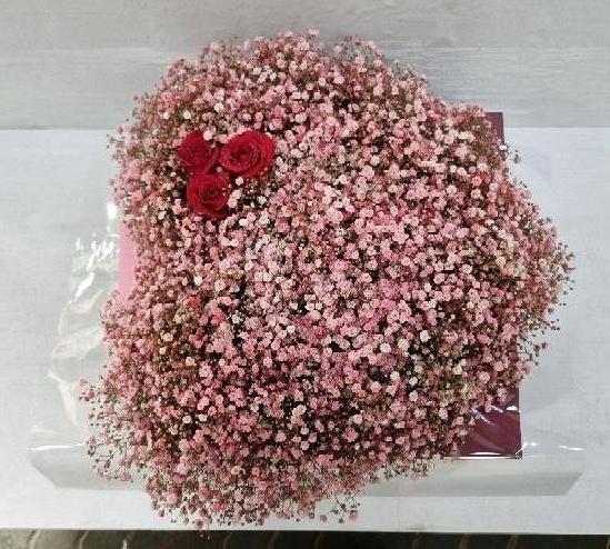 ST-B408