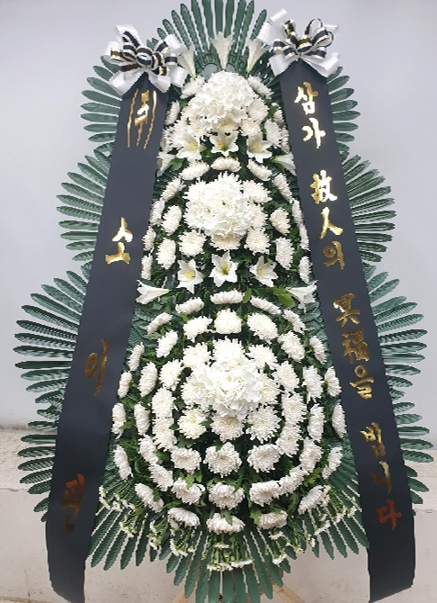 ST-FB259