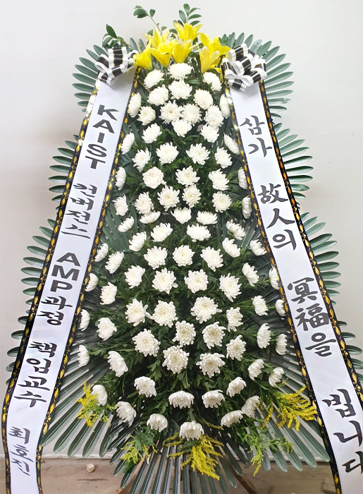 ST-FB233