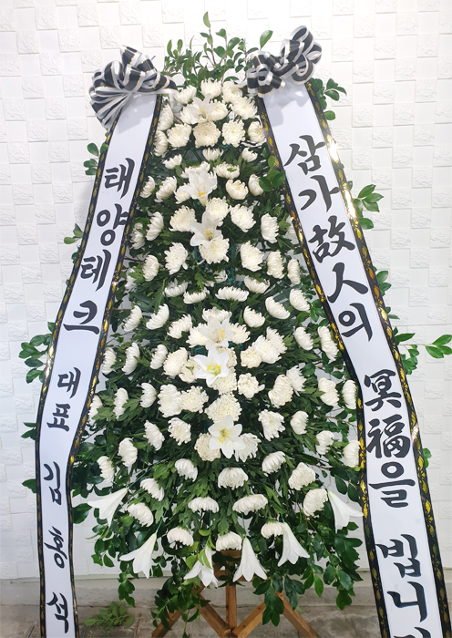 ST-FB226