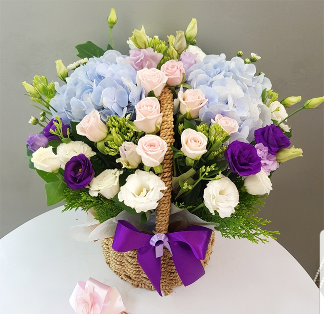ST-A1661