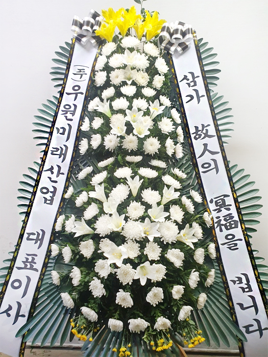 ST-FB226