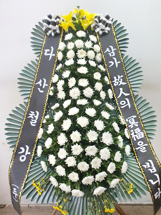 ST-FB172