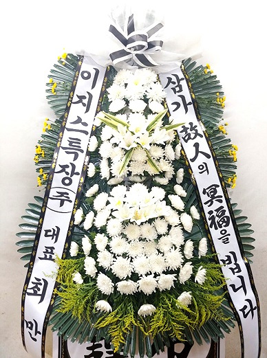 ST-FB229