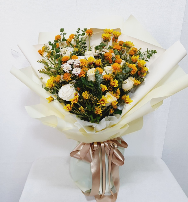 ST-C571