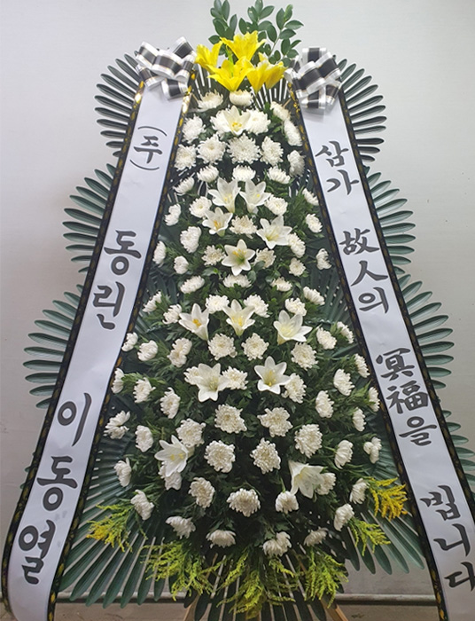 ST-FB226