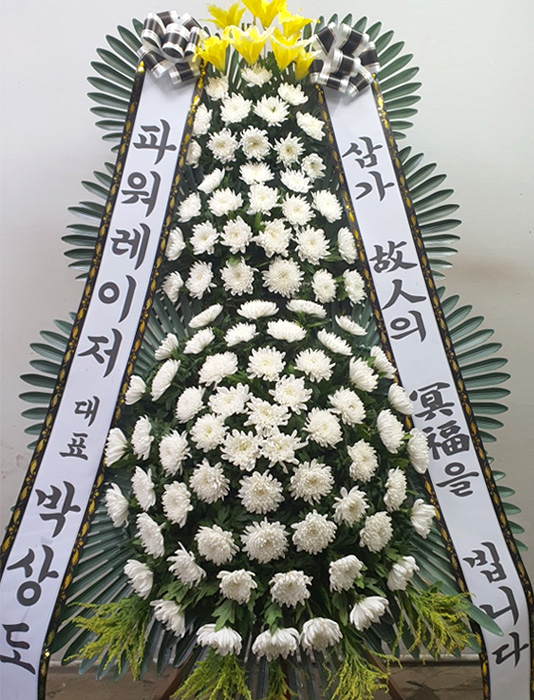 ST-FB233