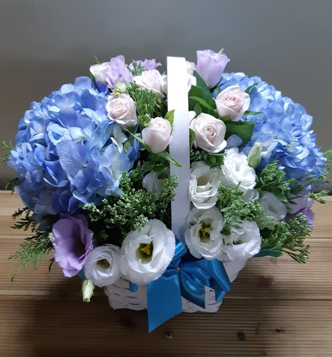 ST-A1661