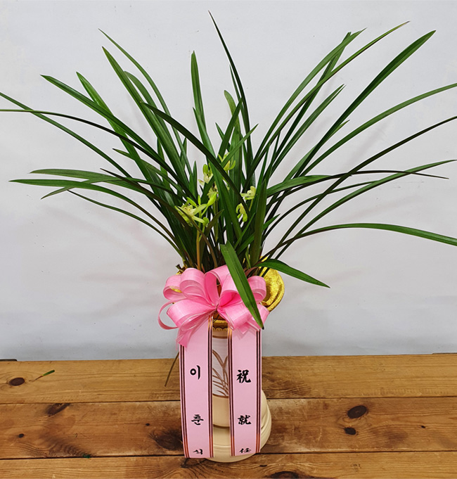 ST-E479
