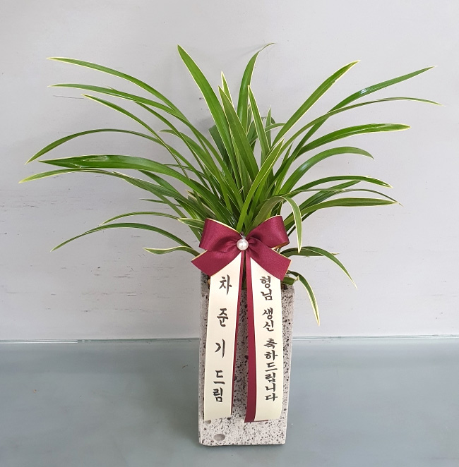 ST-E446
