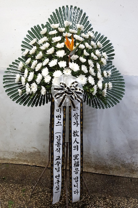 ST-FB263