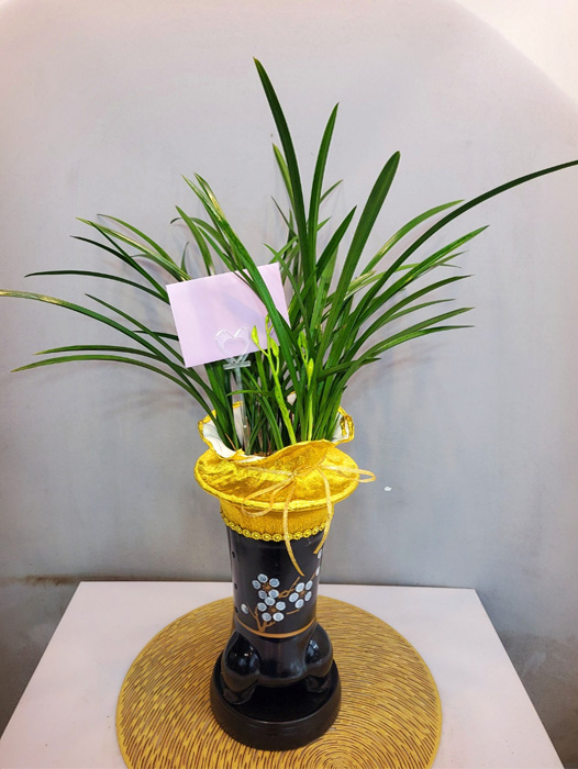 ST-E535
