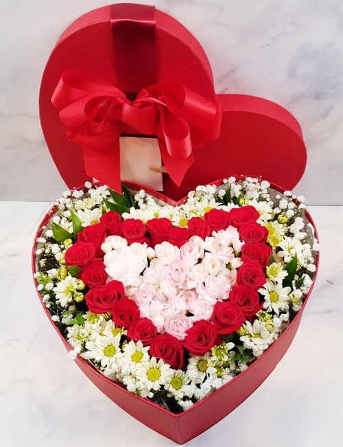 ST-B120
