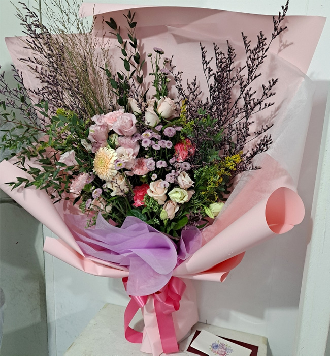 ST-C585