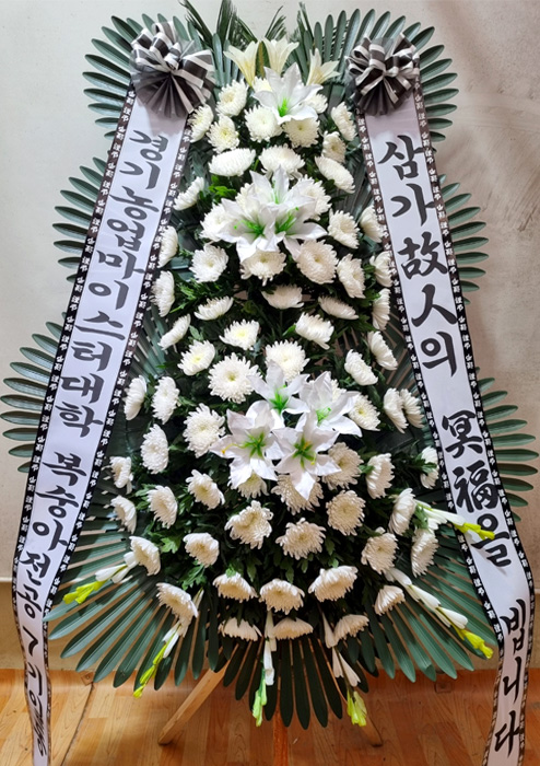 ST-FB226