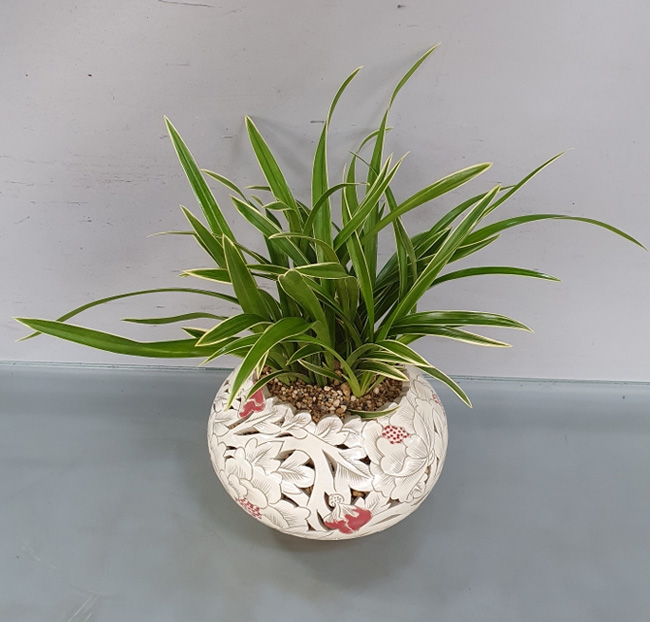 ST-E555