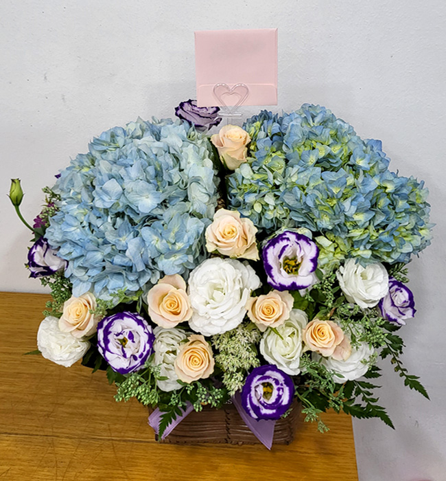 ST-A1661