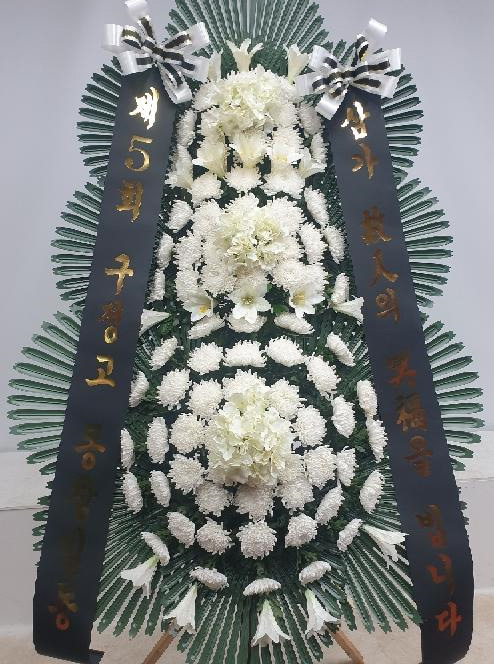 ST-FB259