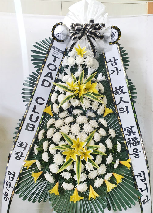 ST-FB024