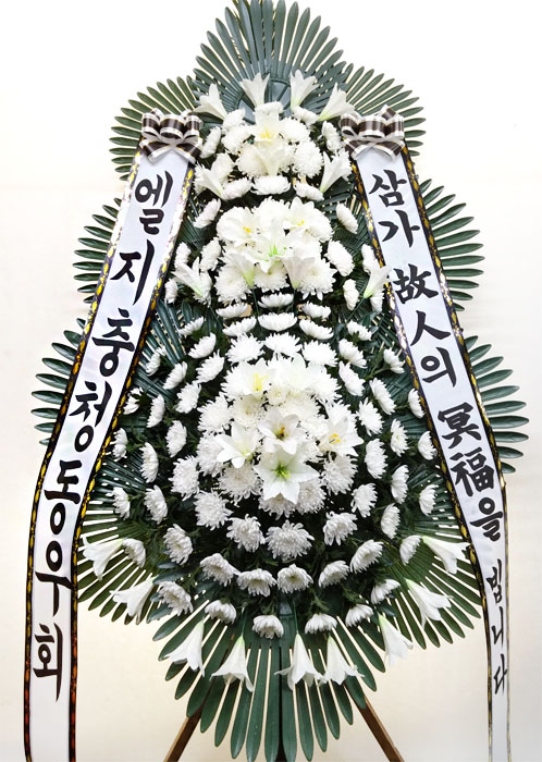 ST-FB226