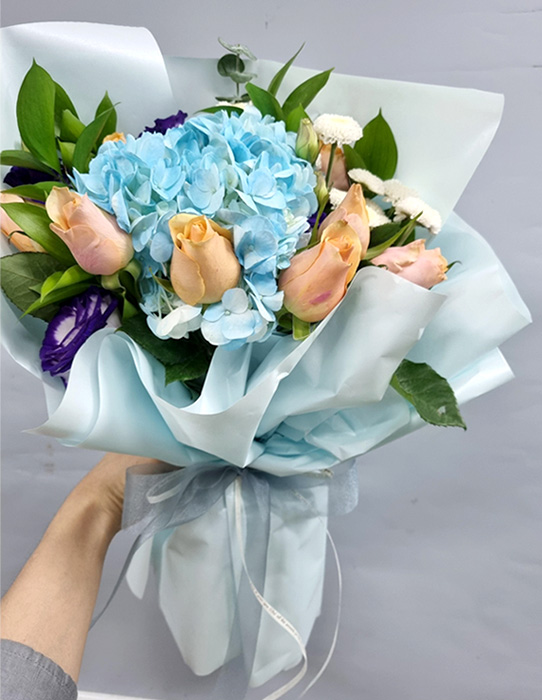 ST-C546