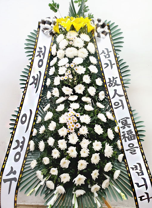 ST-FB063