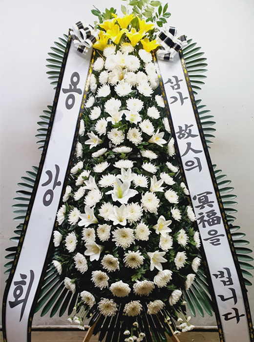 ST-FB226