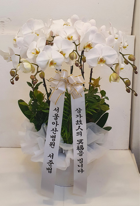 ST-FB190