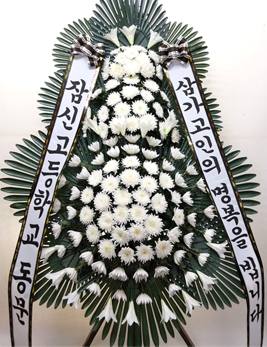 ST-FB162