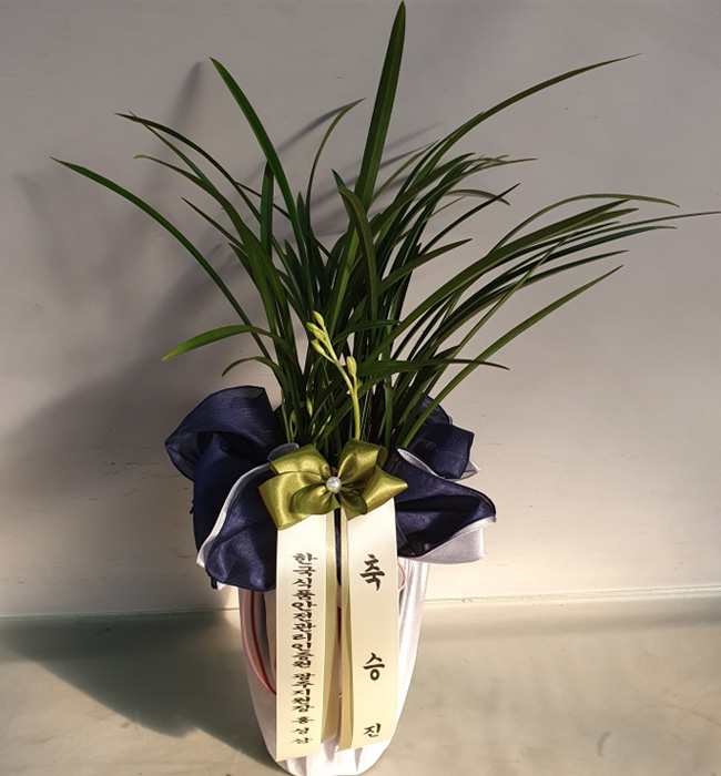 ST-E531
