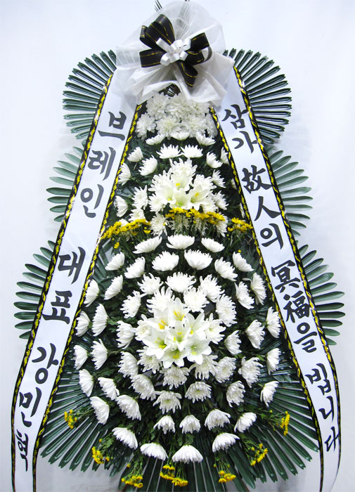 ST-FB233