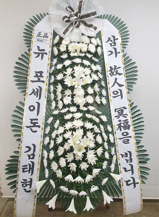 ST-FB226