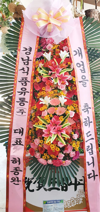 ST-FA248