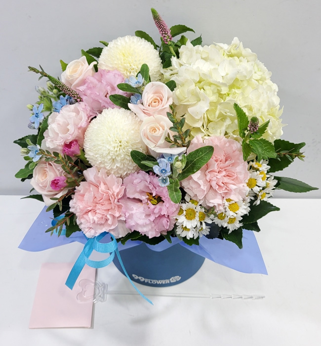 ST-B328