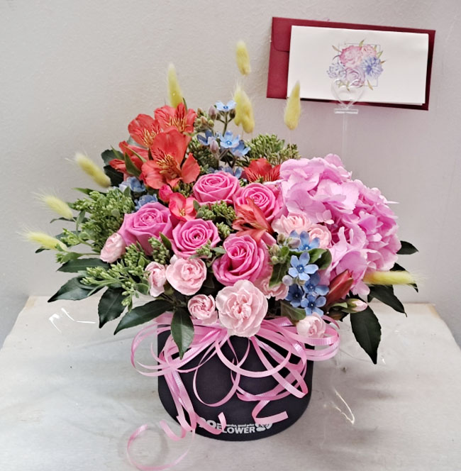 ST-B333