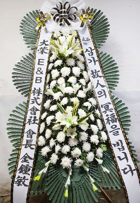 ST-FB229