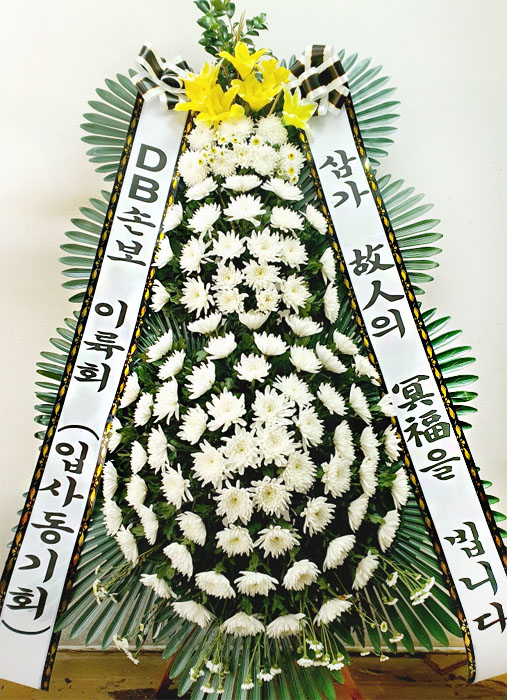 ST-FB161