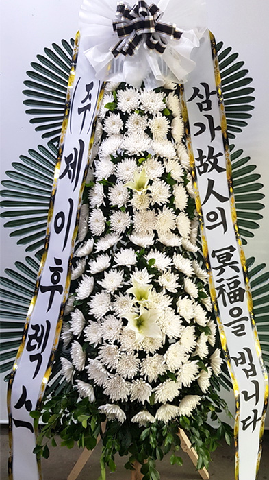 ST-FB226