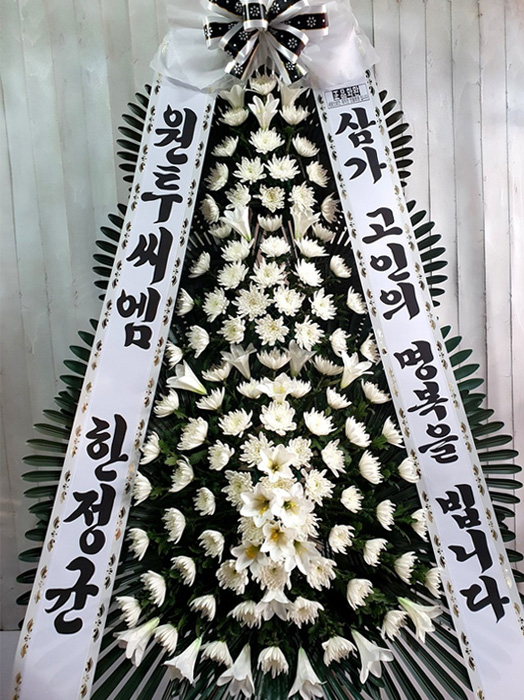 ST-FB226