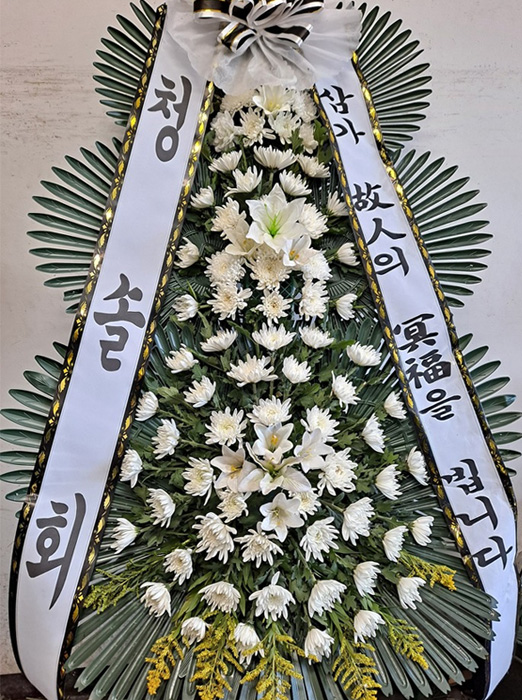 ST-FB226