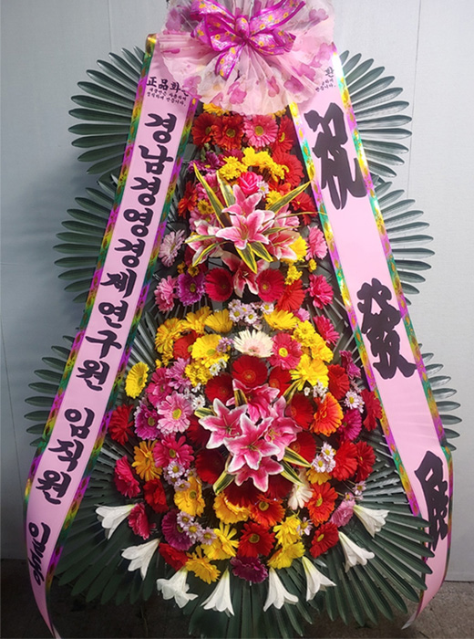 ST-FA064