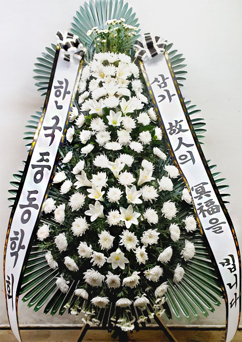 ST-FB226